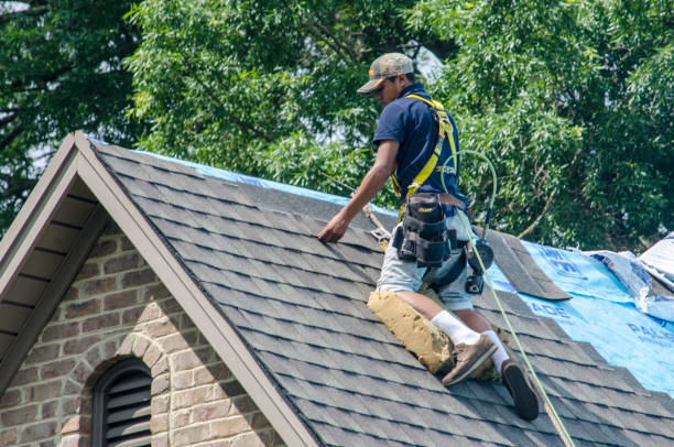 Best Roof Inspection Near Me  in Seward, AK